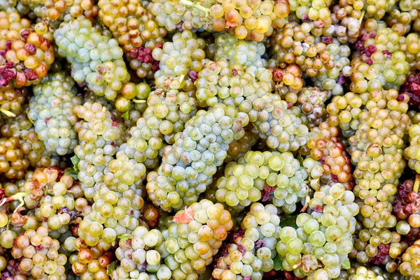 9 Stellar Wines That Prove You Should Be Drinking Pinot Blanc This Summer